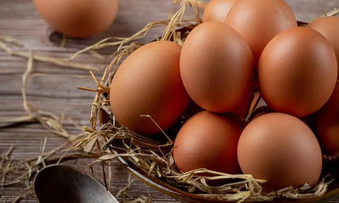 Günlük Taze Yumurta Satışı