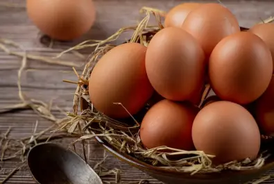 Günlük Taze Yumurta Satışı